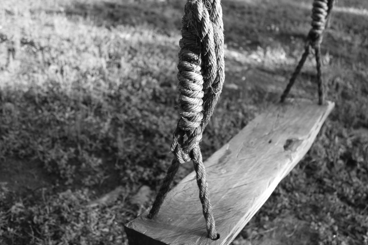The kids had a blast on this swing all week...especially doing 