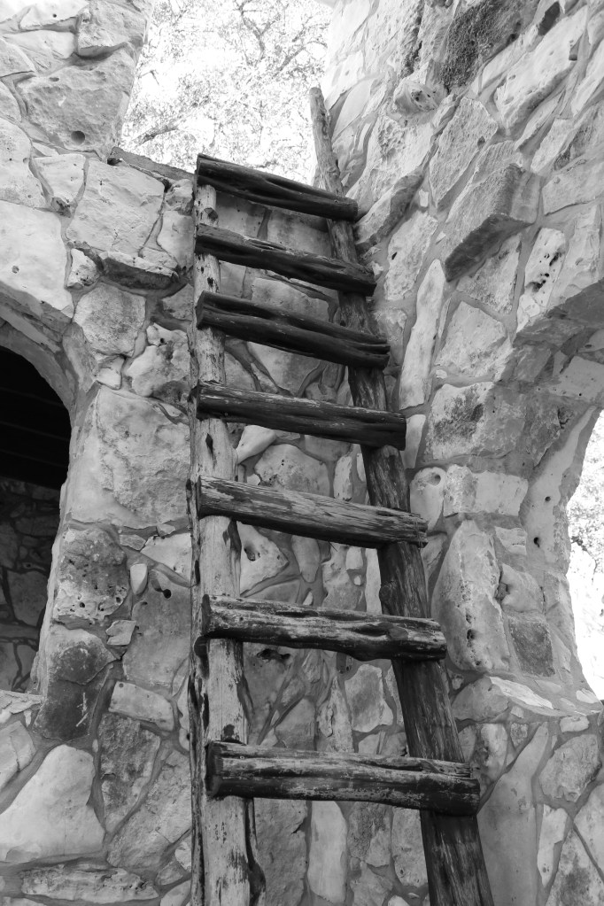 Carter's Ladder
