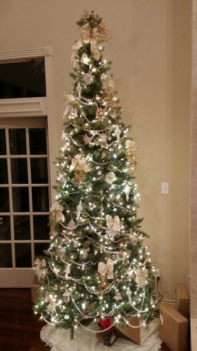 20151220_184254_resized