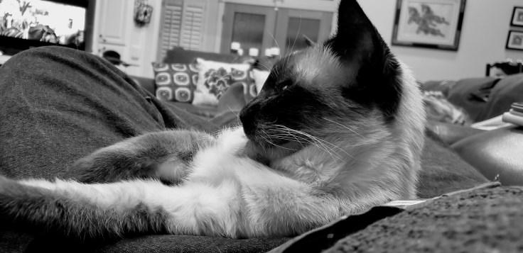 lnd_2e4e7055-426c-4224-b427-470701a50ac4